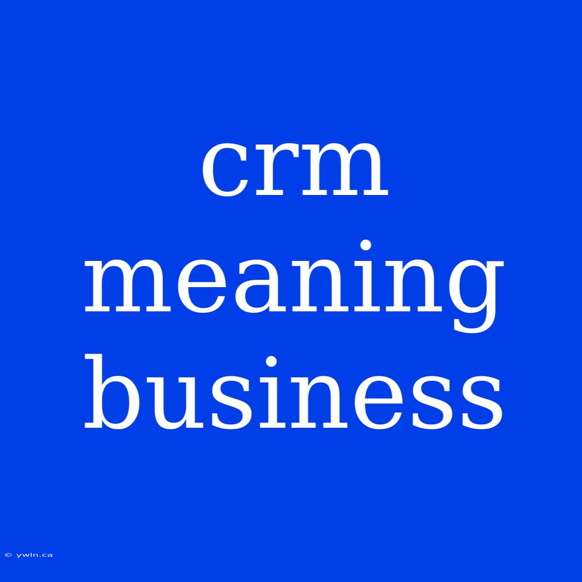 Crm Meaning Business