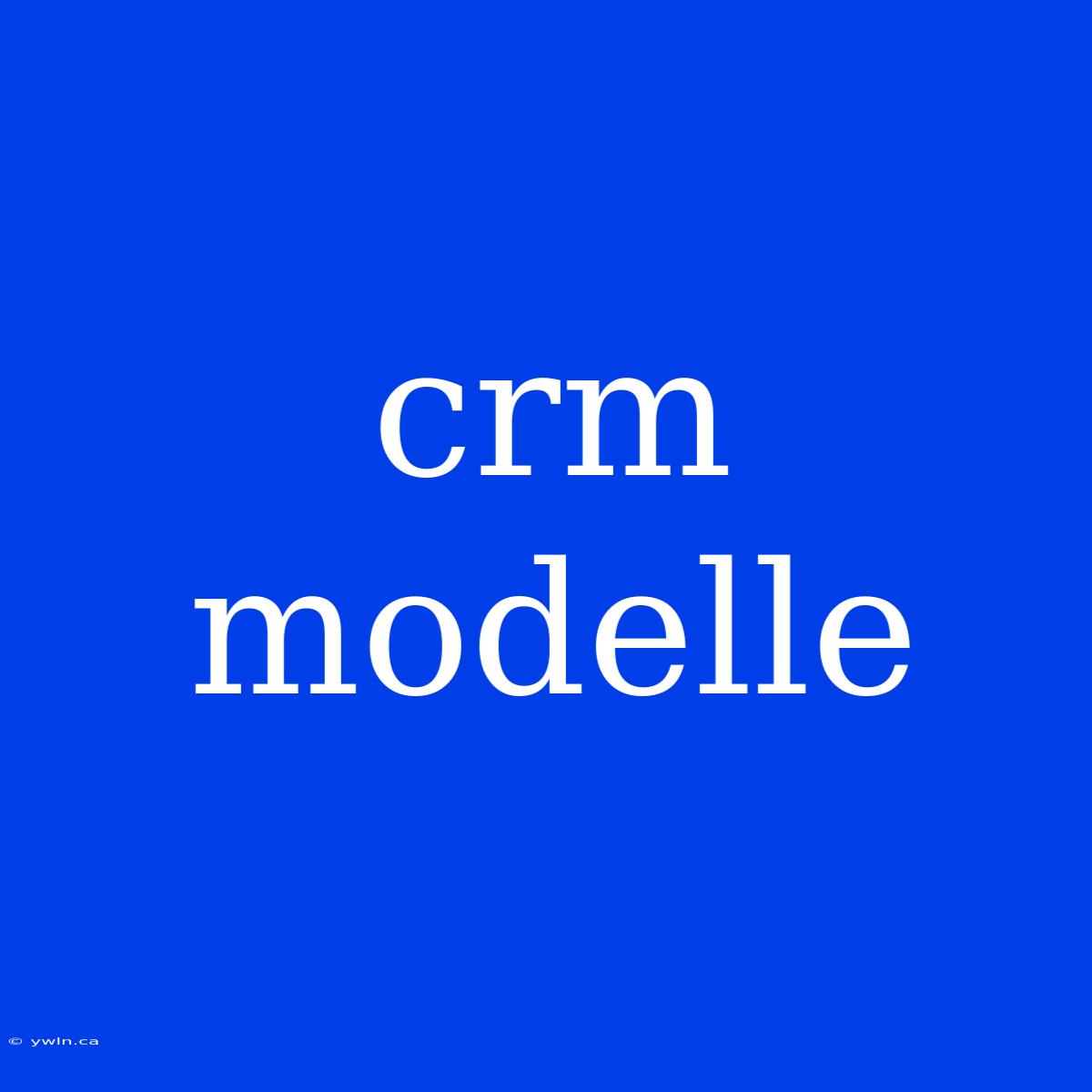 Crm Modelle