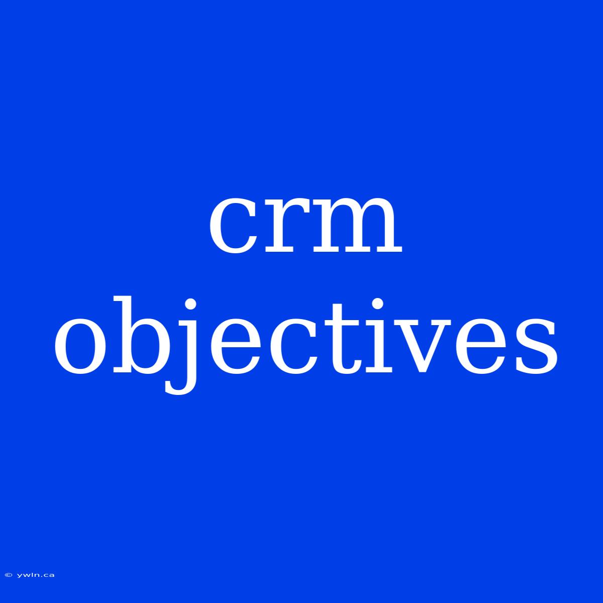 Crm Objectives