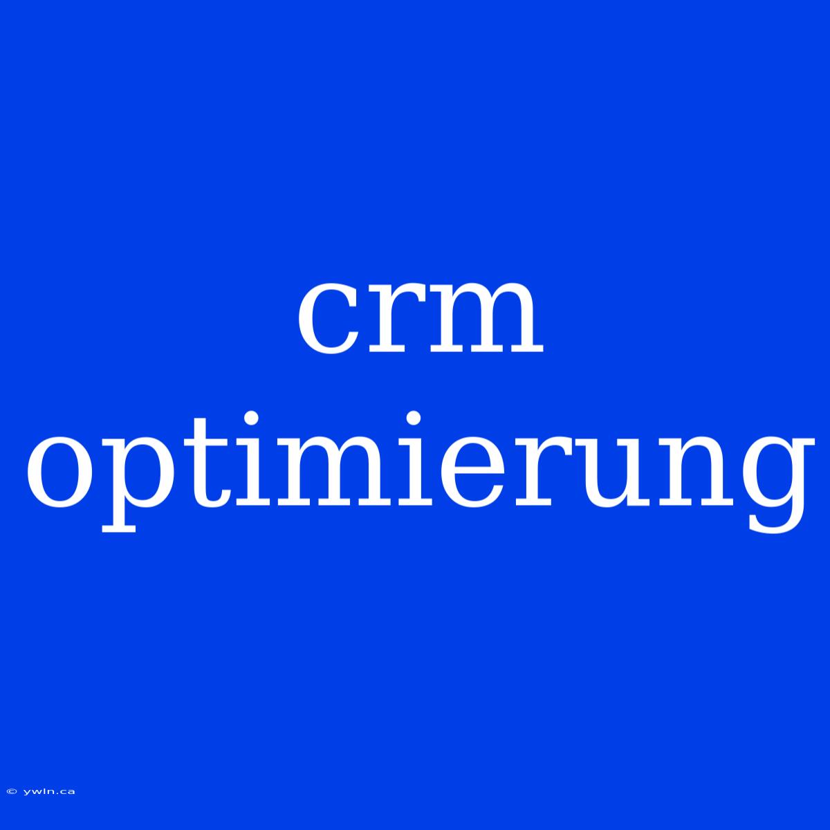 Crm Optimierung