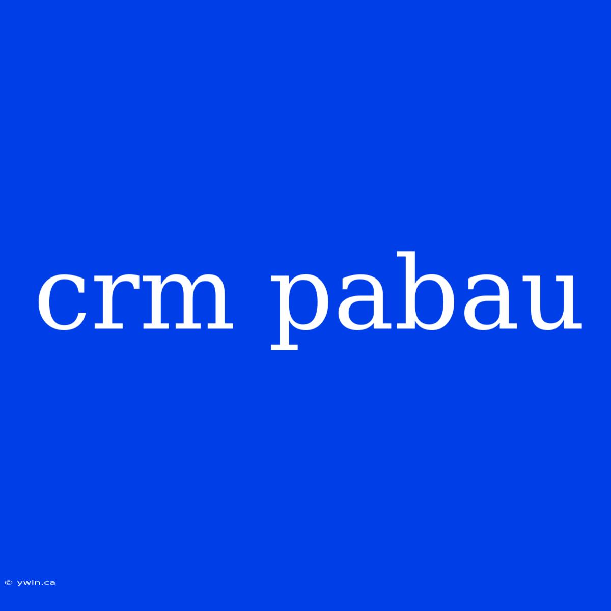 Crm Pabau