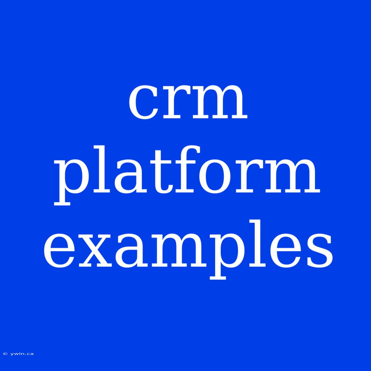 Crm Platform Examples