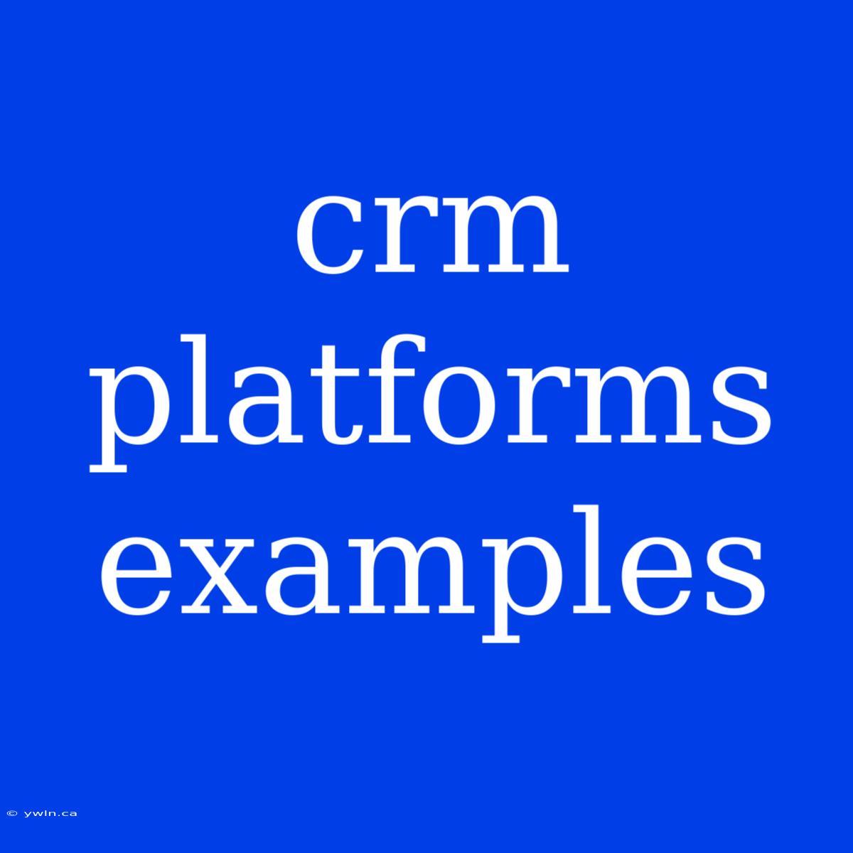 Crm Platforms Examples