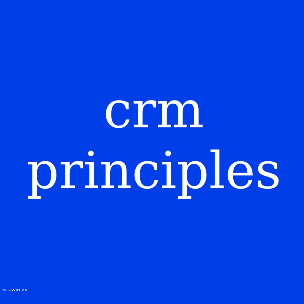 Crm Principles