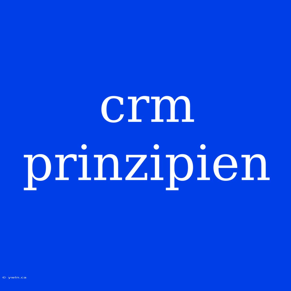 Crm Prinzipien