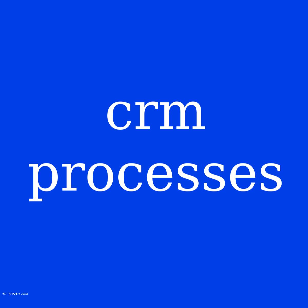 Crm Processes