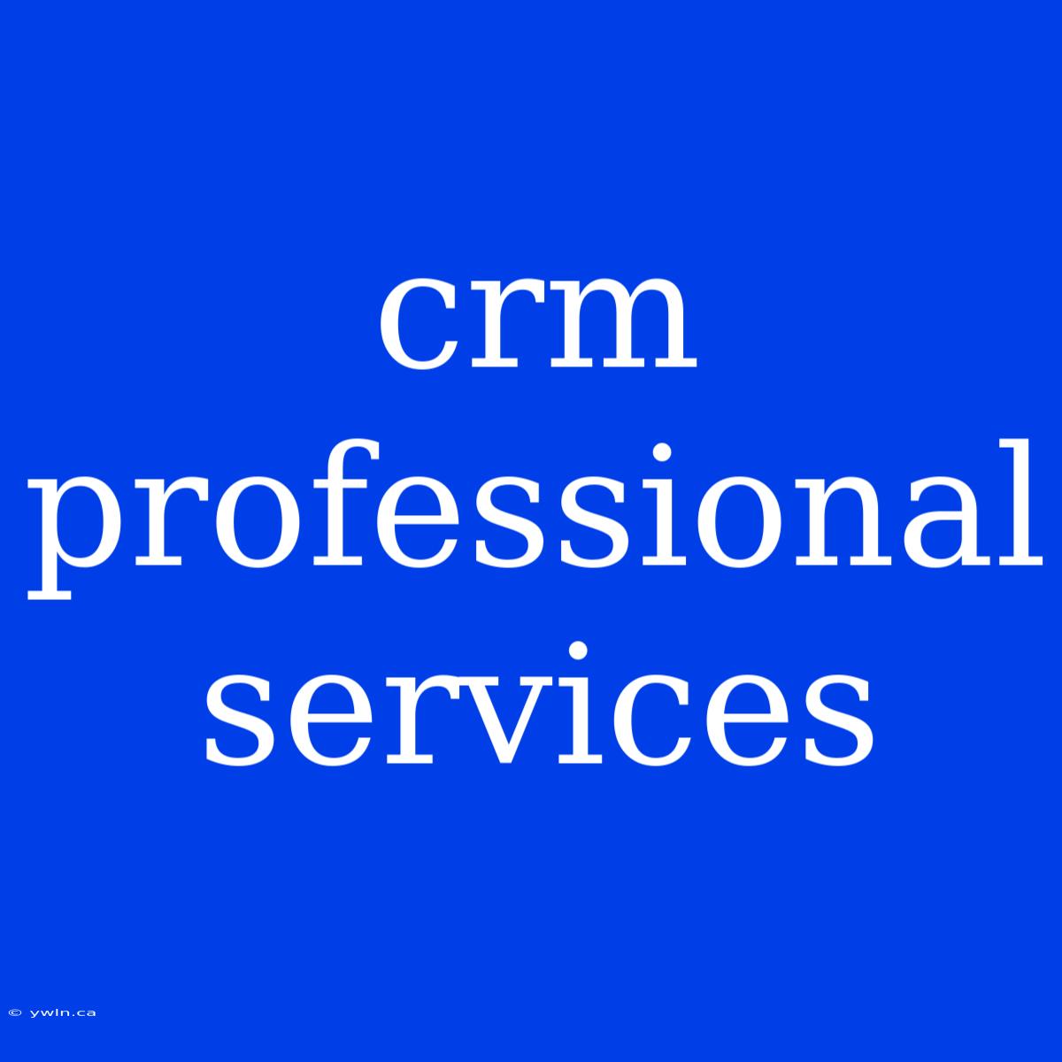 Crm Professional Services