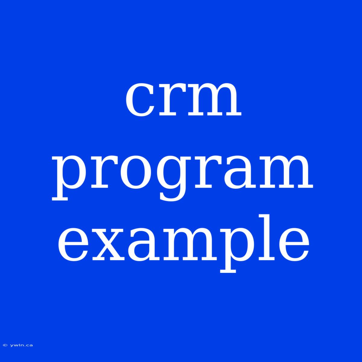 Crm Program Example