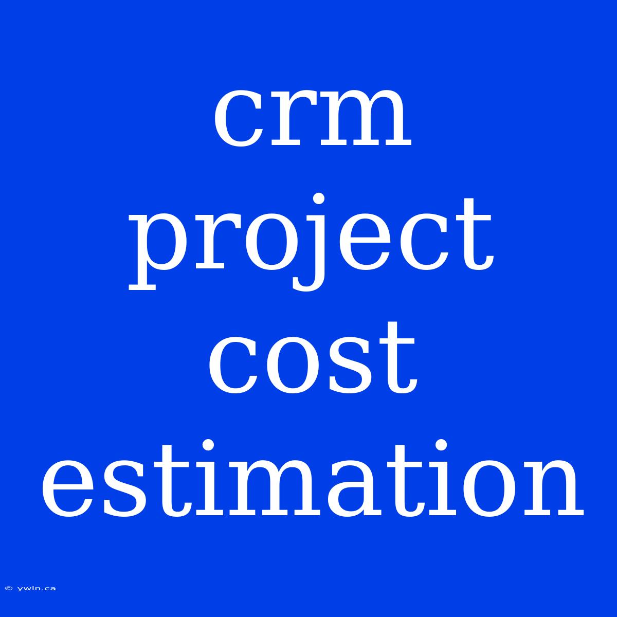 Crm Project Cost Estimation