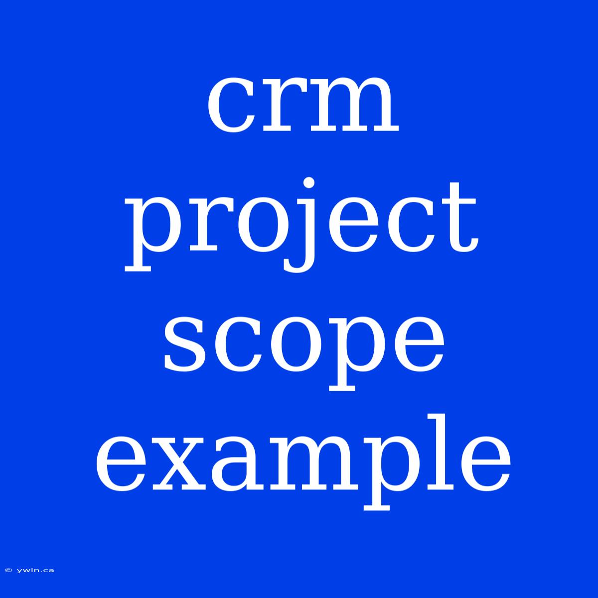 Crm Project Scope Example