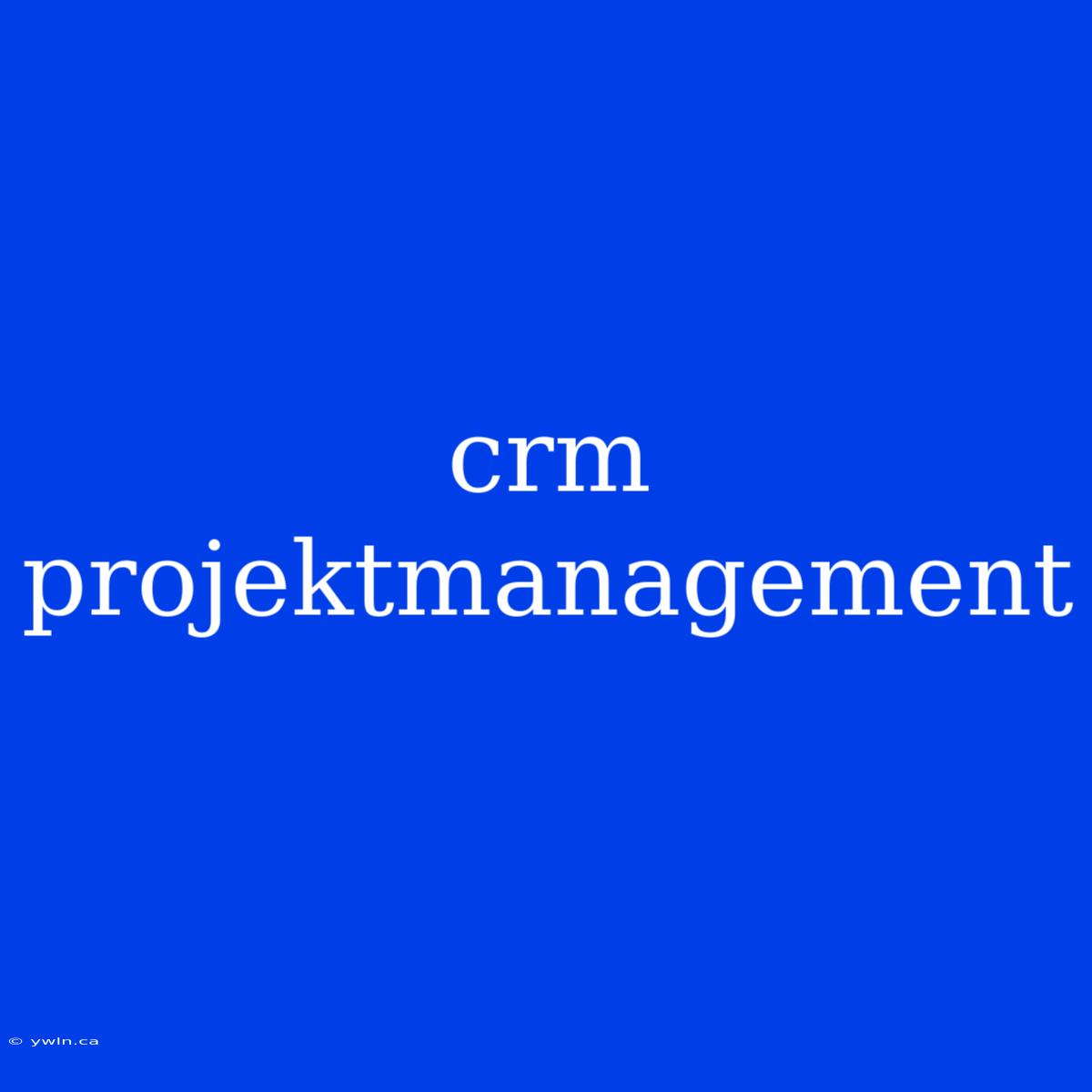 Crm Projektmanagement