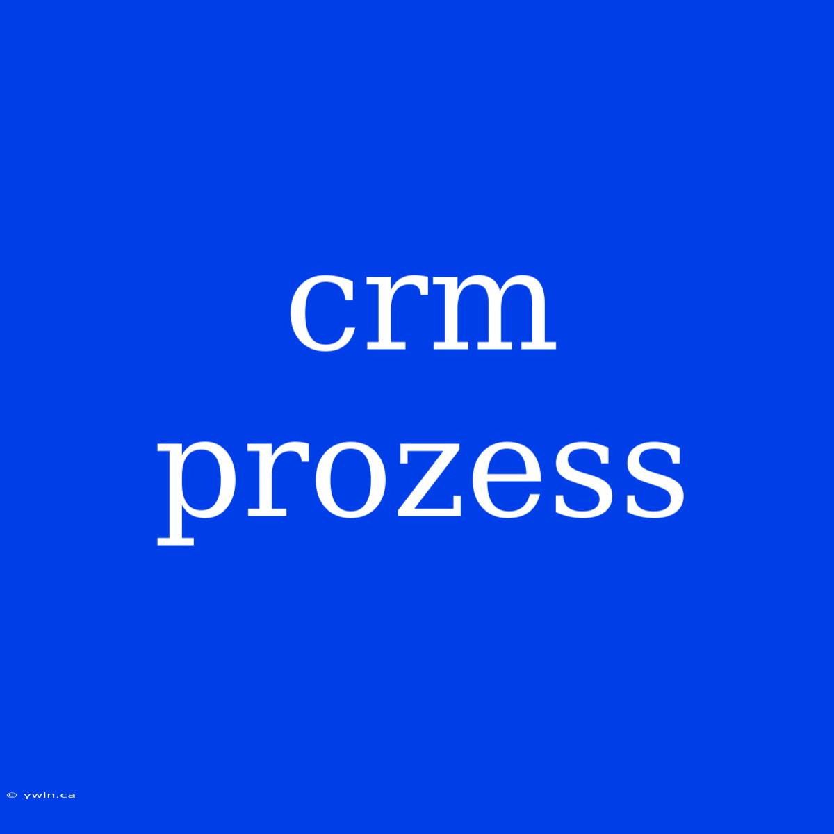 Crm Prozess