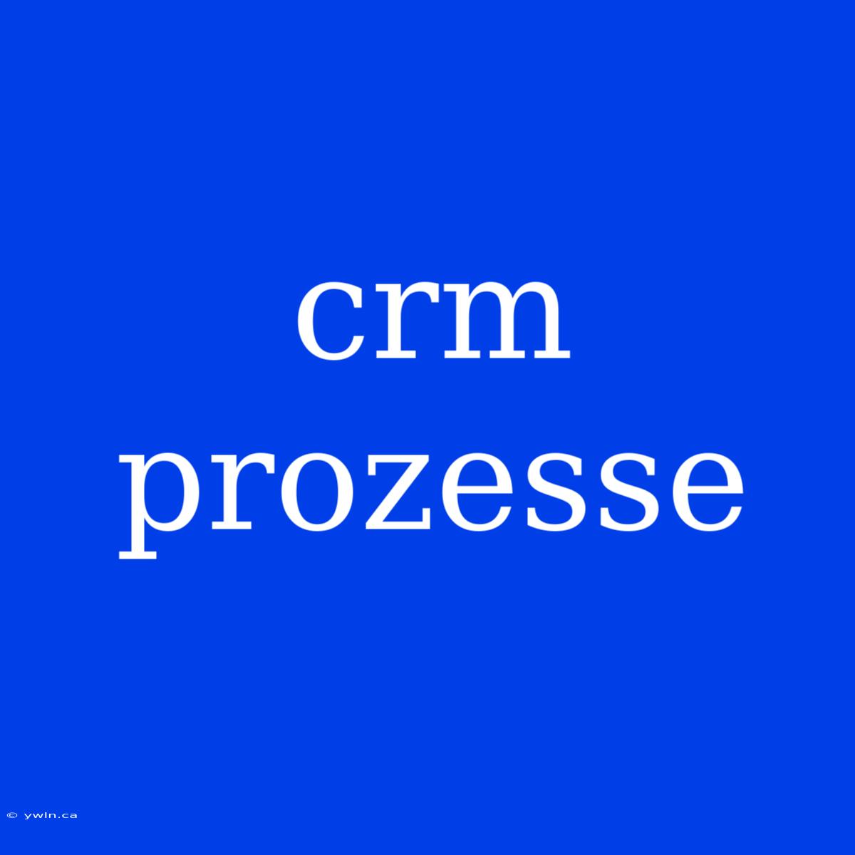 Crm Prozesse