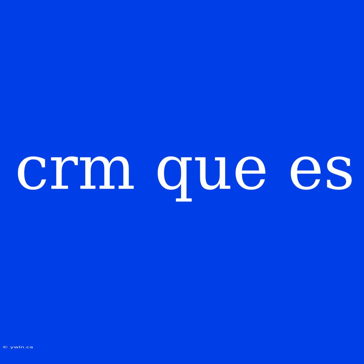 Crm Que Es