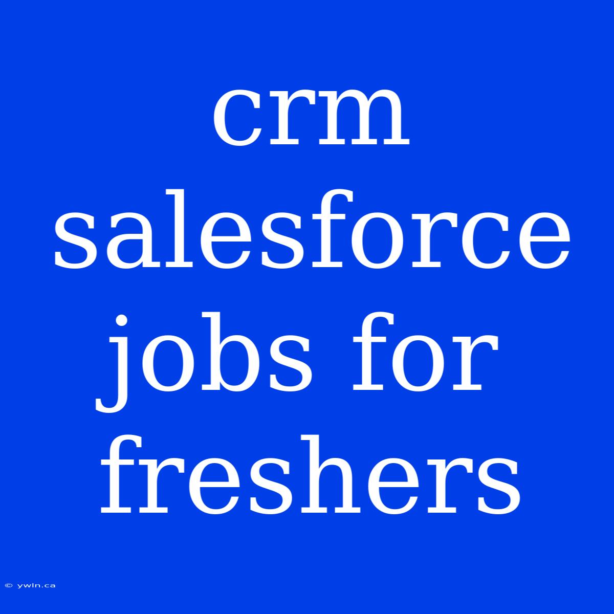 Crm Salesforce Jobs For Freshers