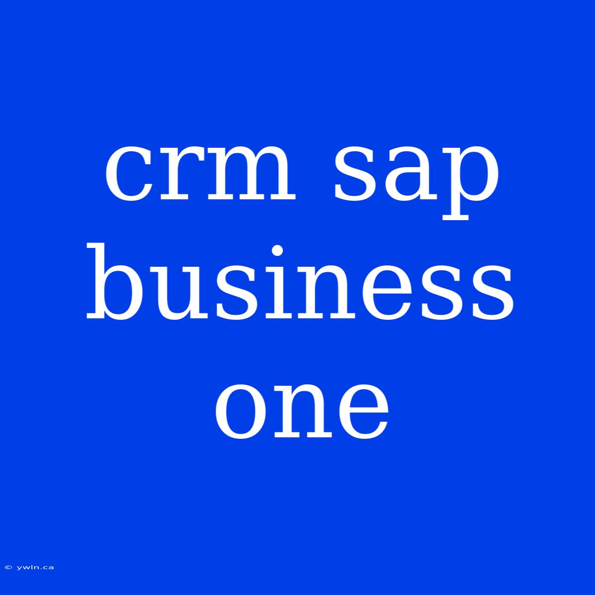 Crm Sap Business One