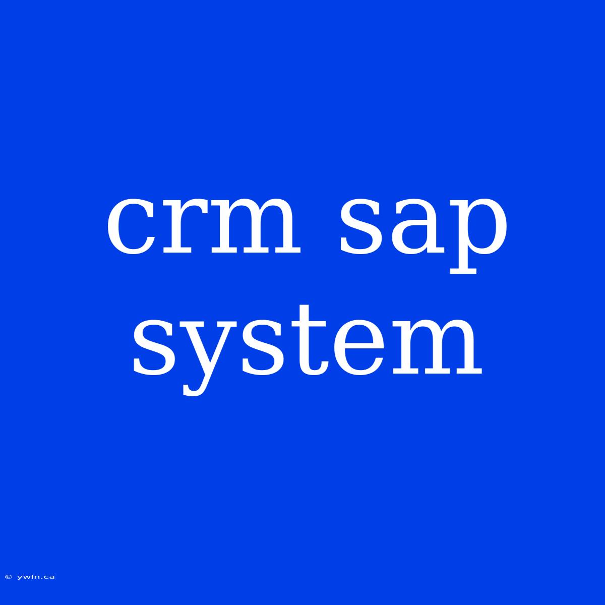 Crm Sap System