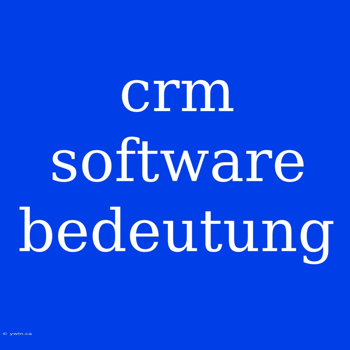 Crm Software Bedeutung