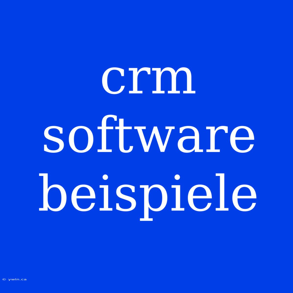 Crm Software Beispiele