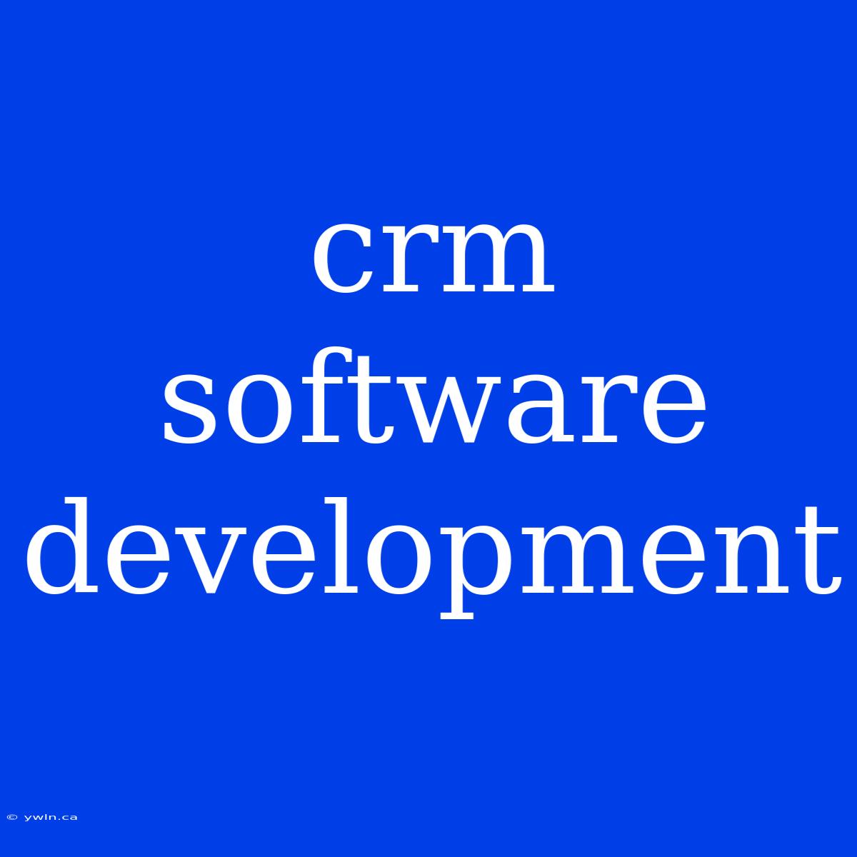 Crm Software Development