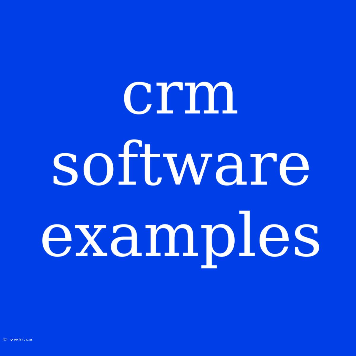 Crm Software Examples