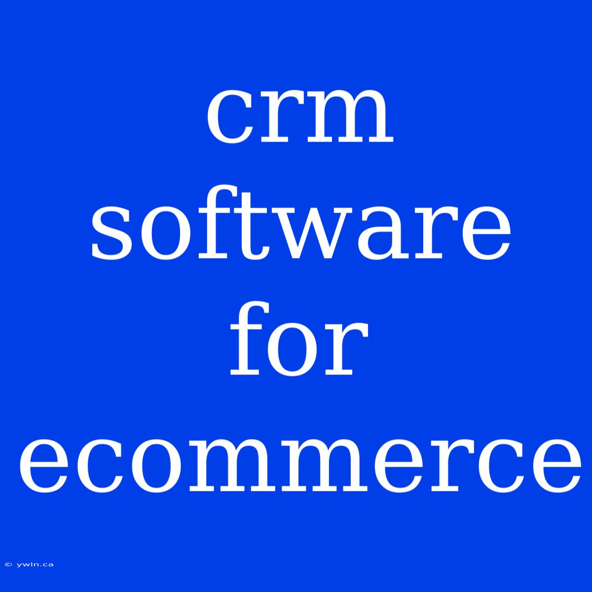 Crm Software For Ecommerce