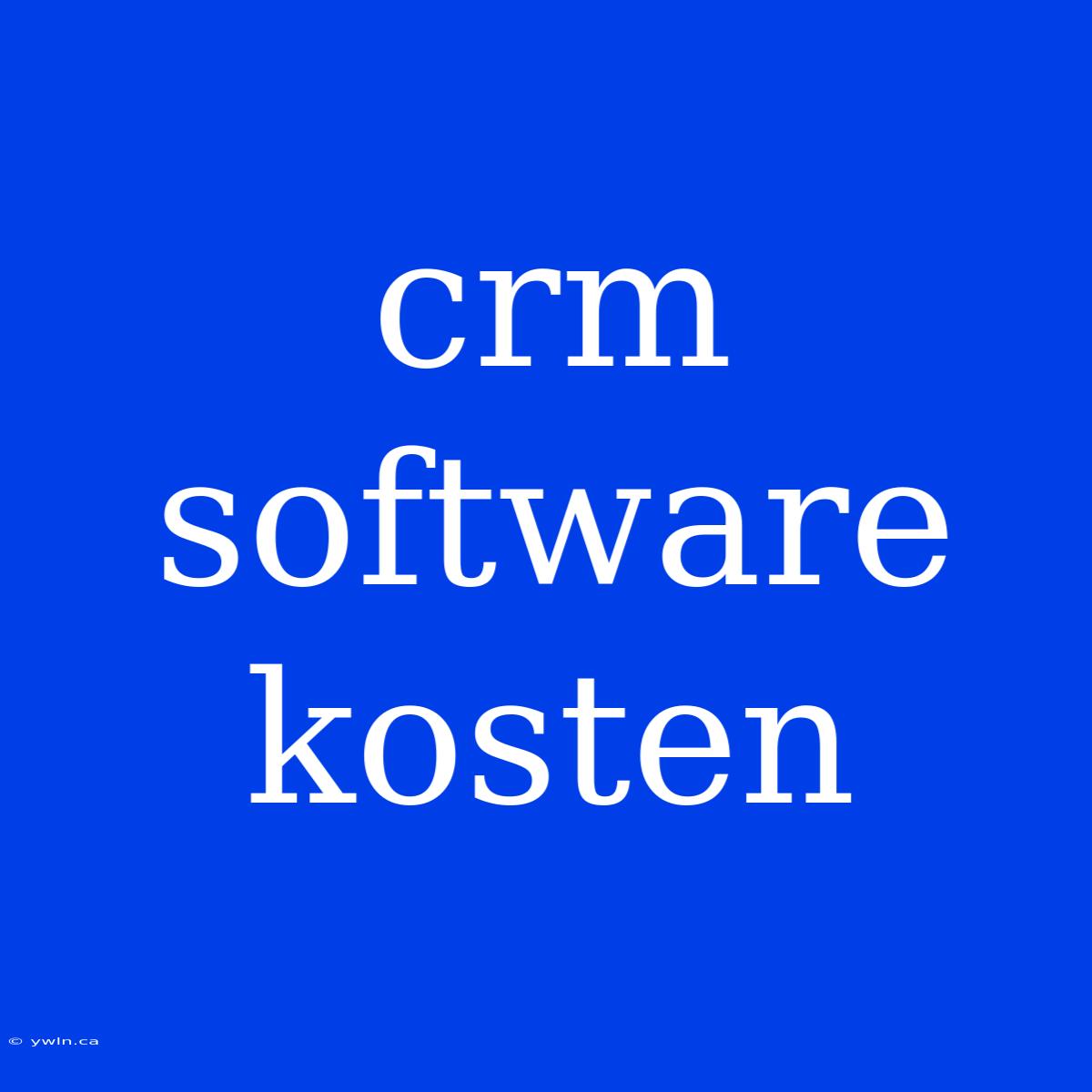 Crm Software Kosten