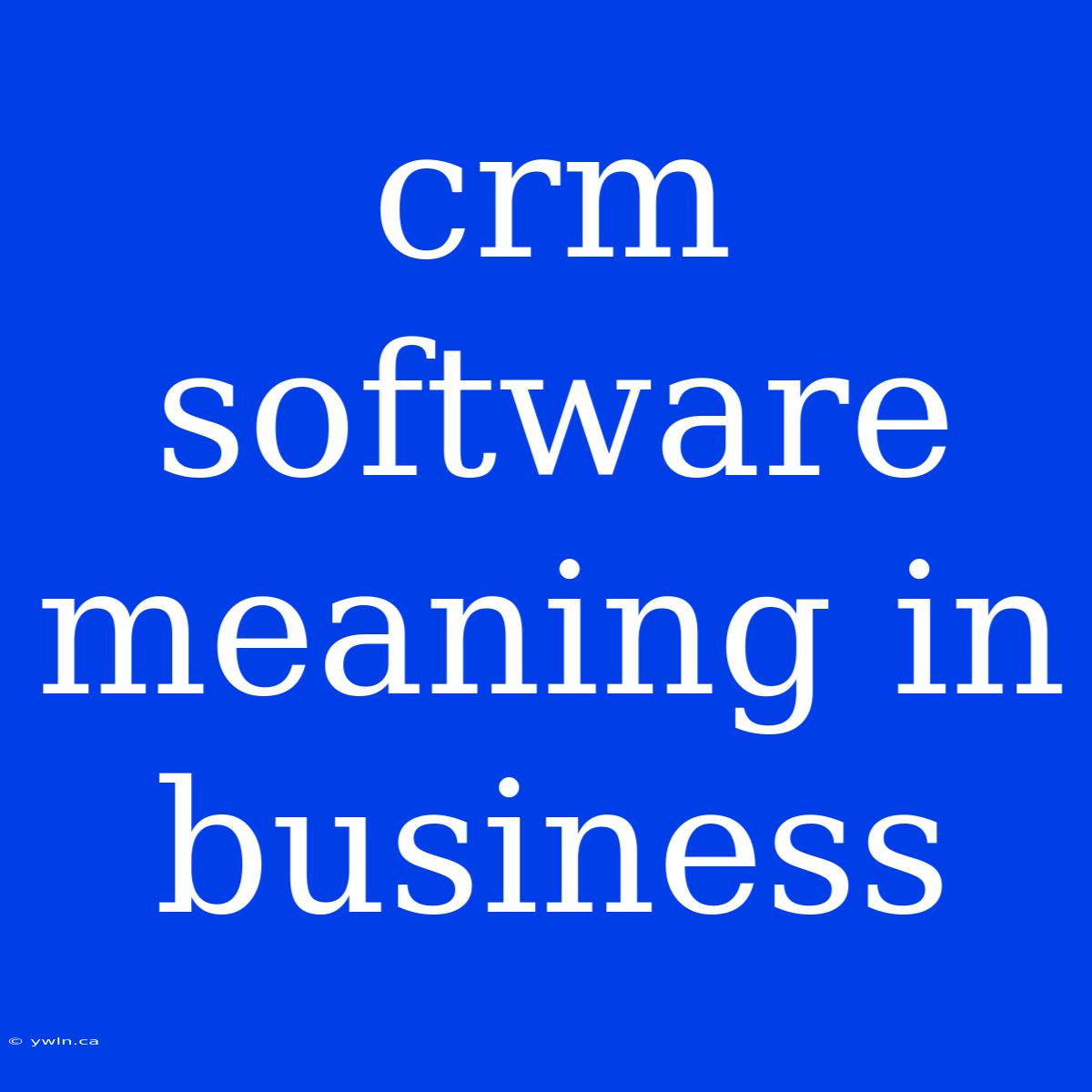 Crm Software Meaning In Business