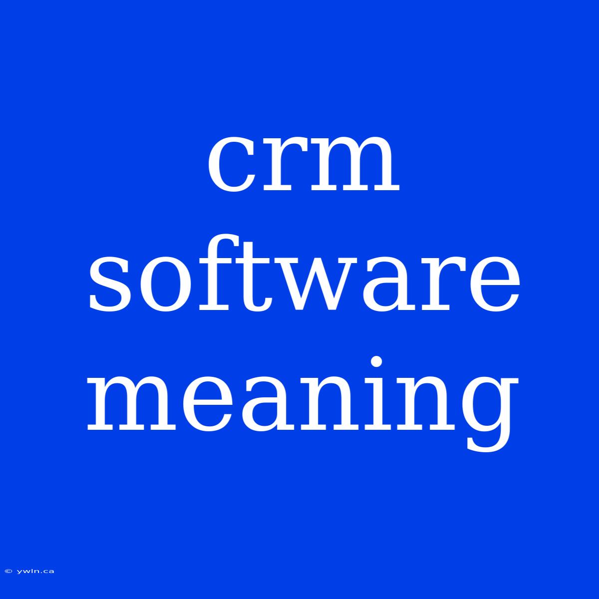 Crm Software Meaning