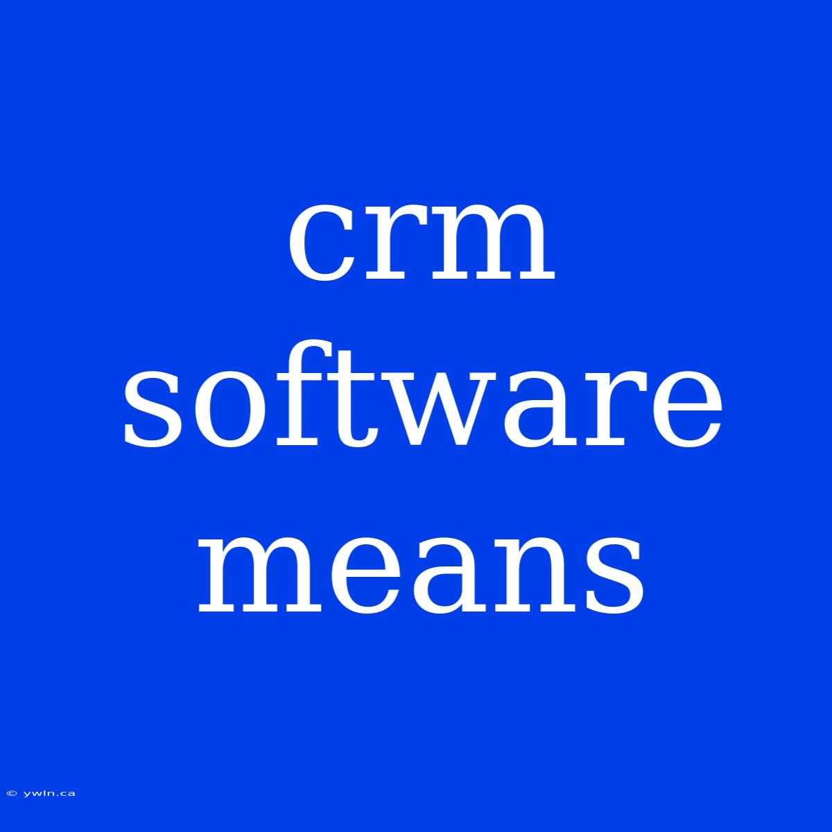 Crm Software Means