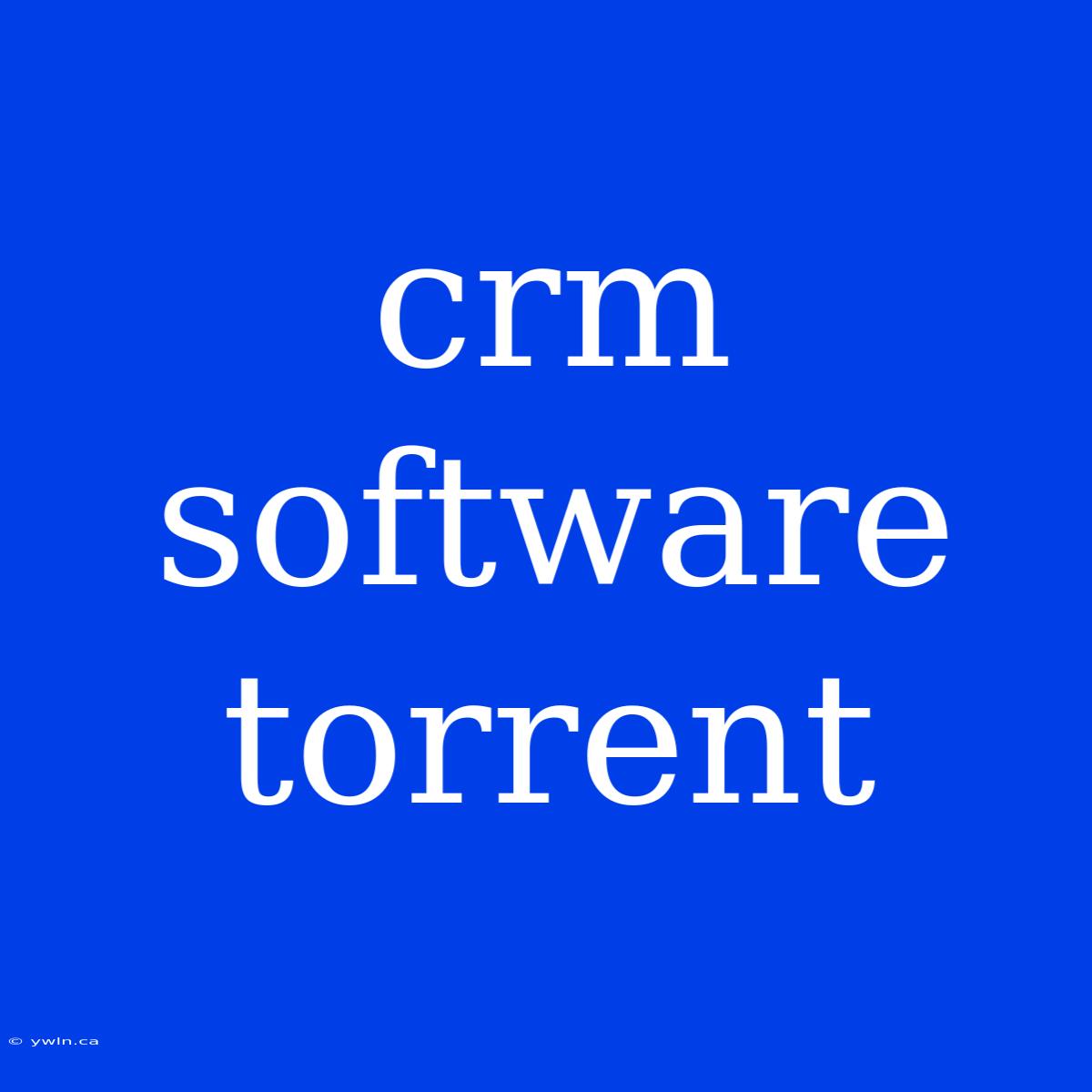 Crm Software Torrent