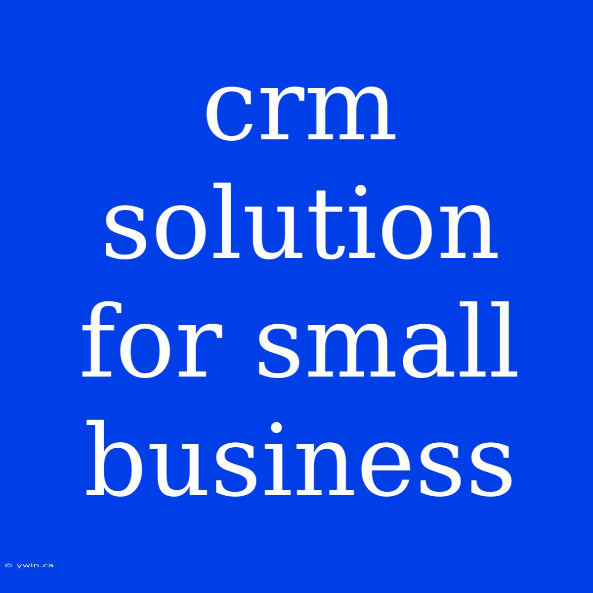 Crm Solution For Small Business