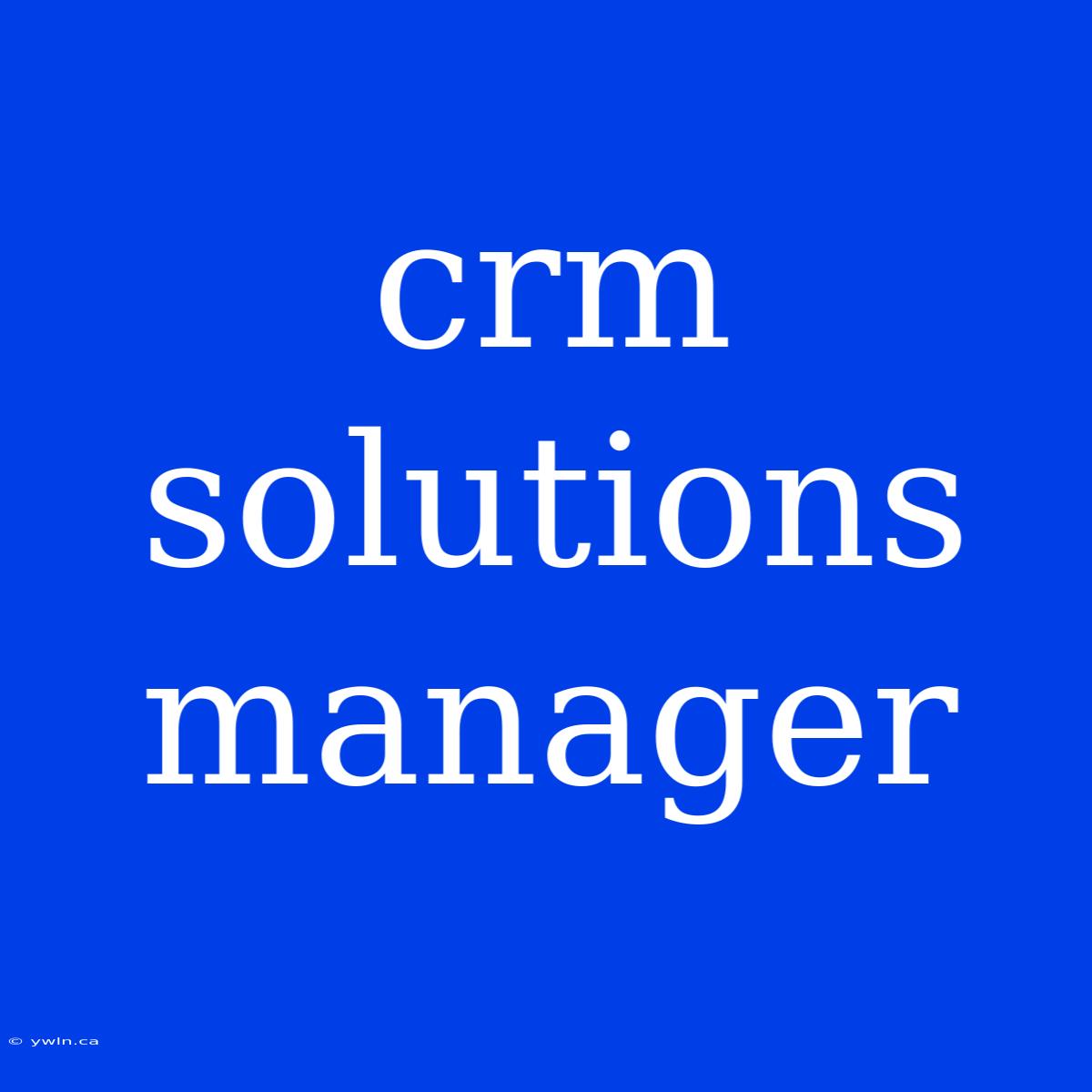 Crm Solutions Manager