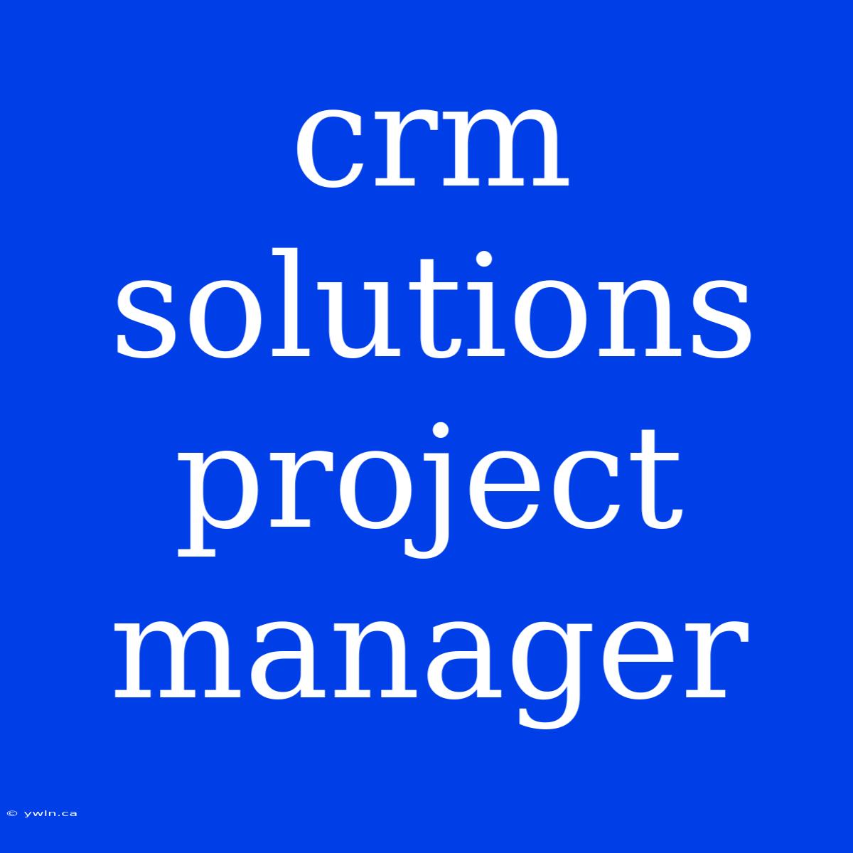 Crm Solutions Project Manager