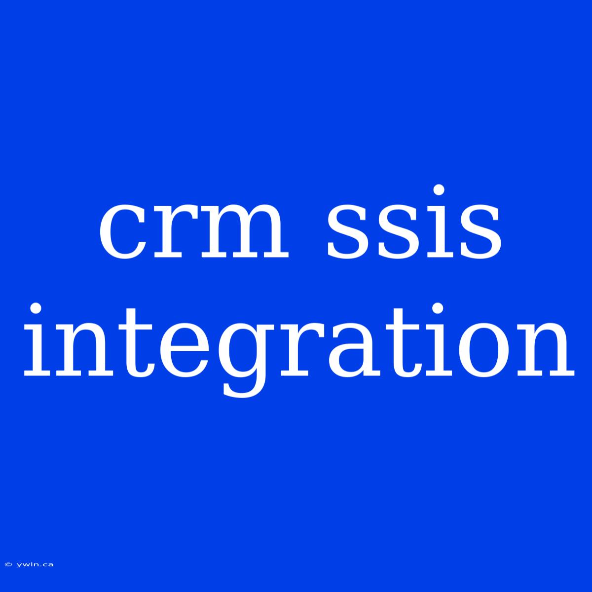 Crm Ssis Integration