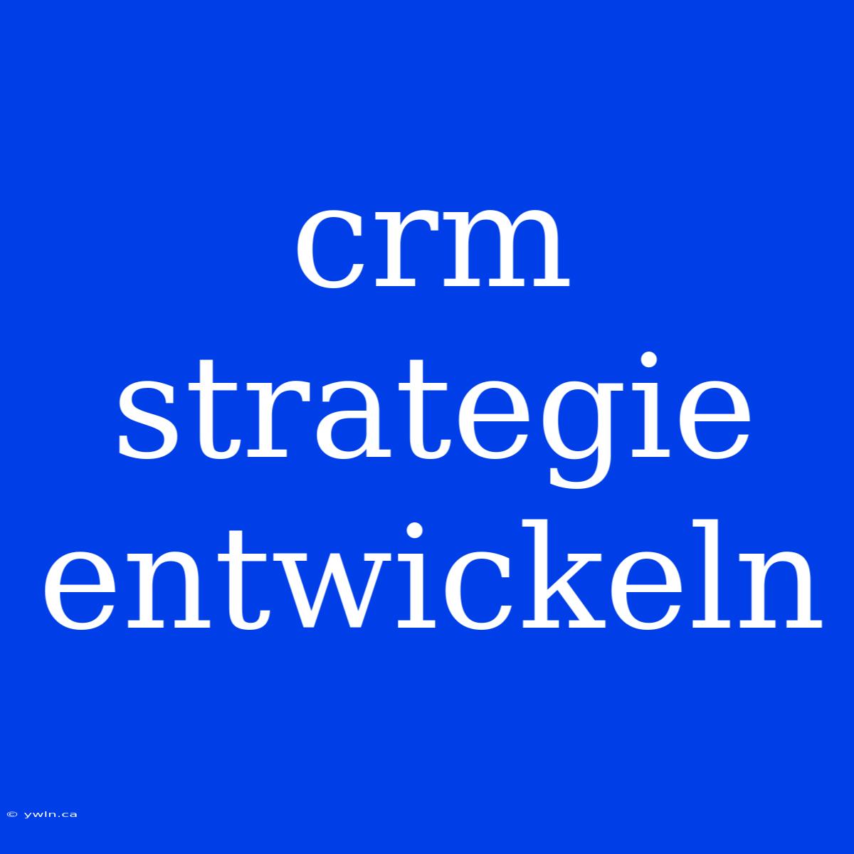 Crm Strategie Entwickeln