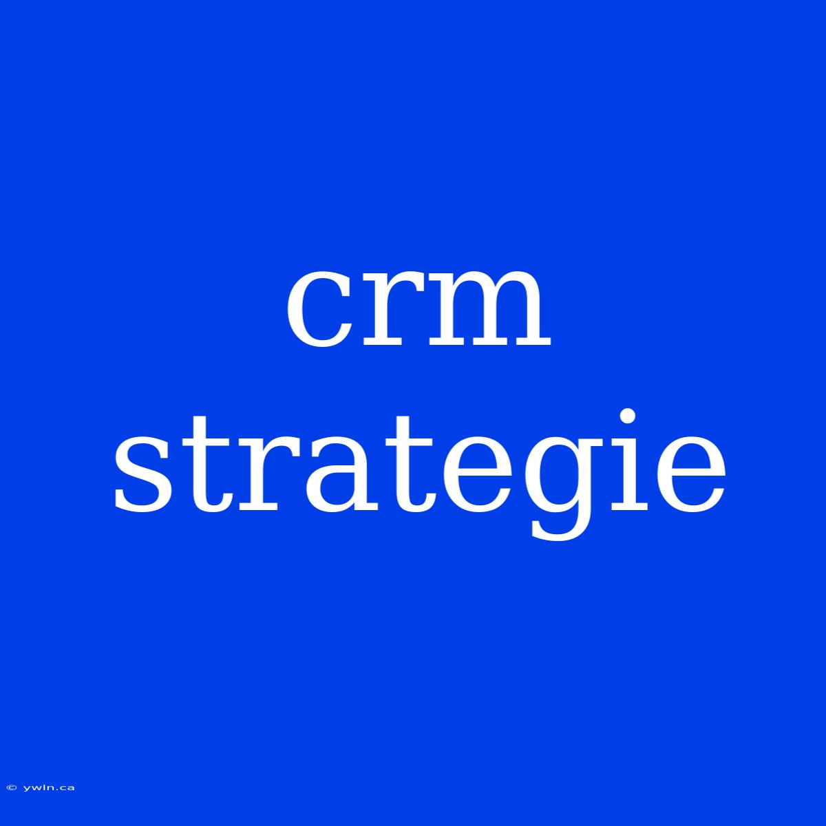 Crm Strategie