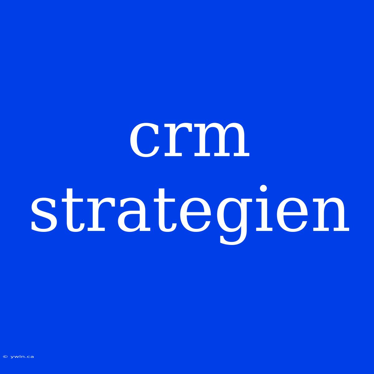 Crm Strategien