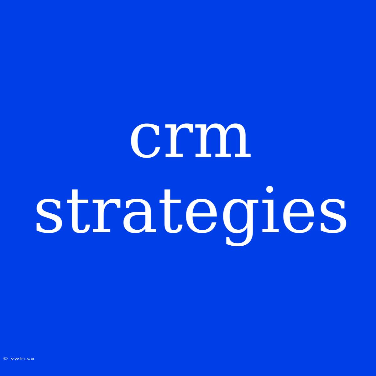 Crm Strategies