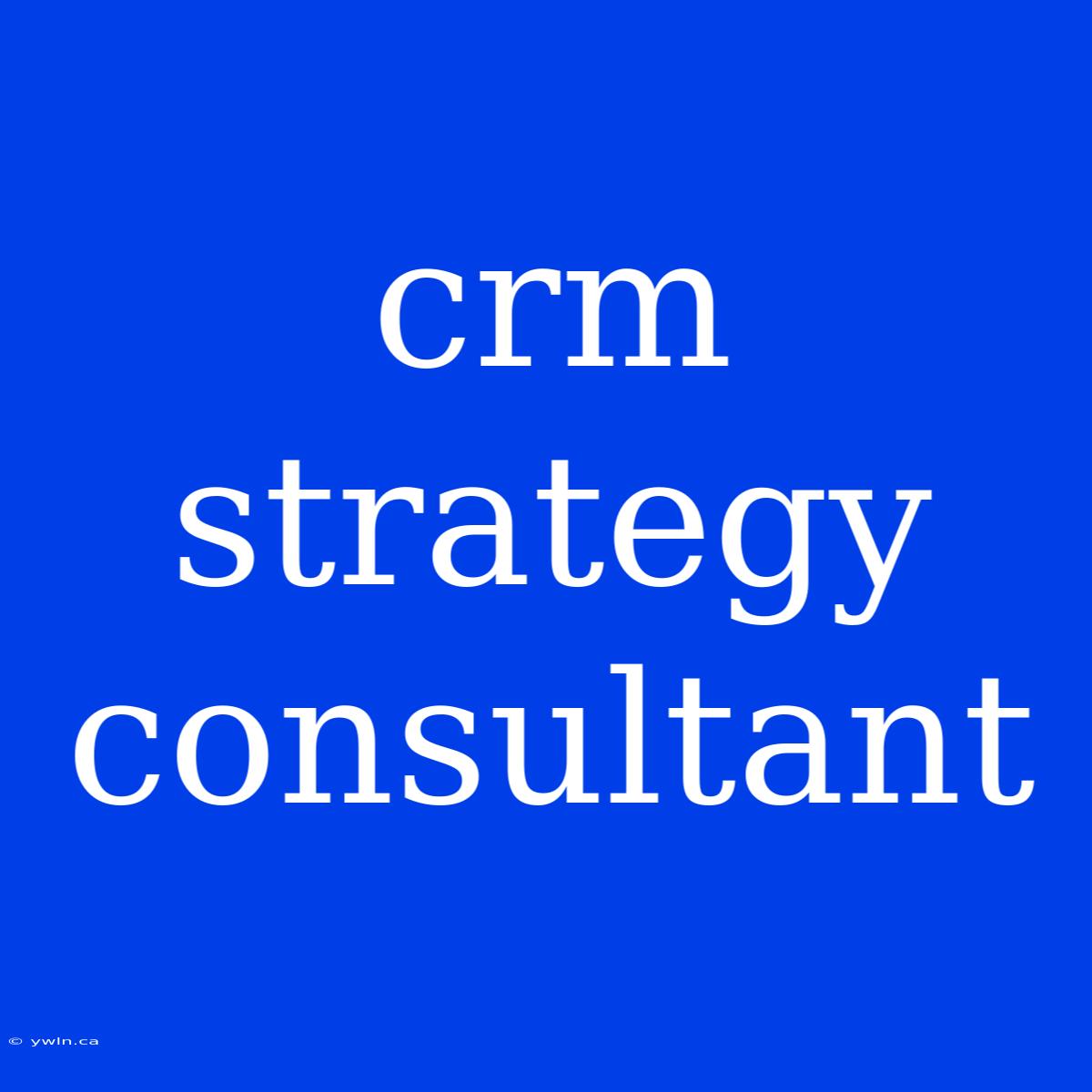 Crm Strategy Consultant