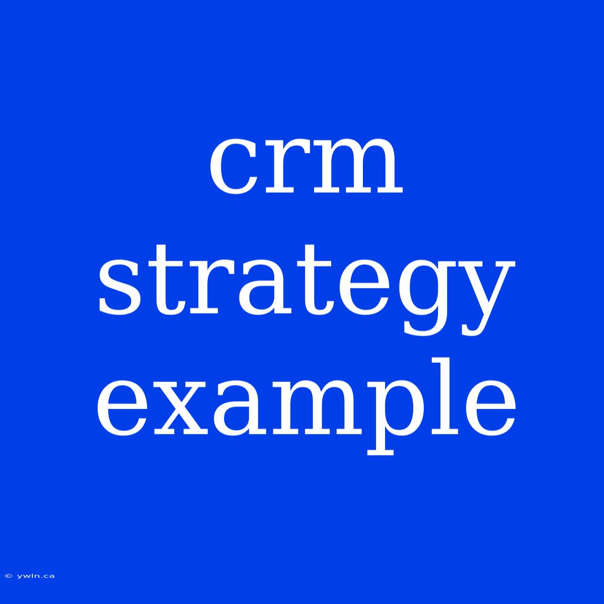 Crm Strategy Example