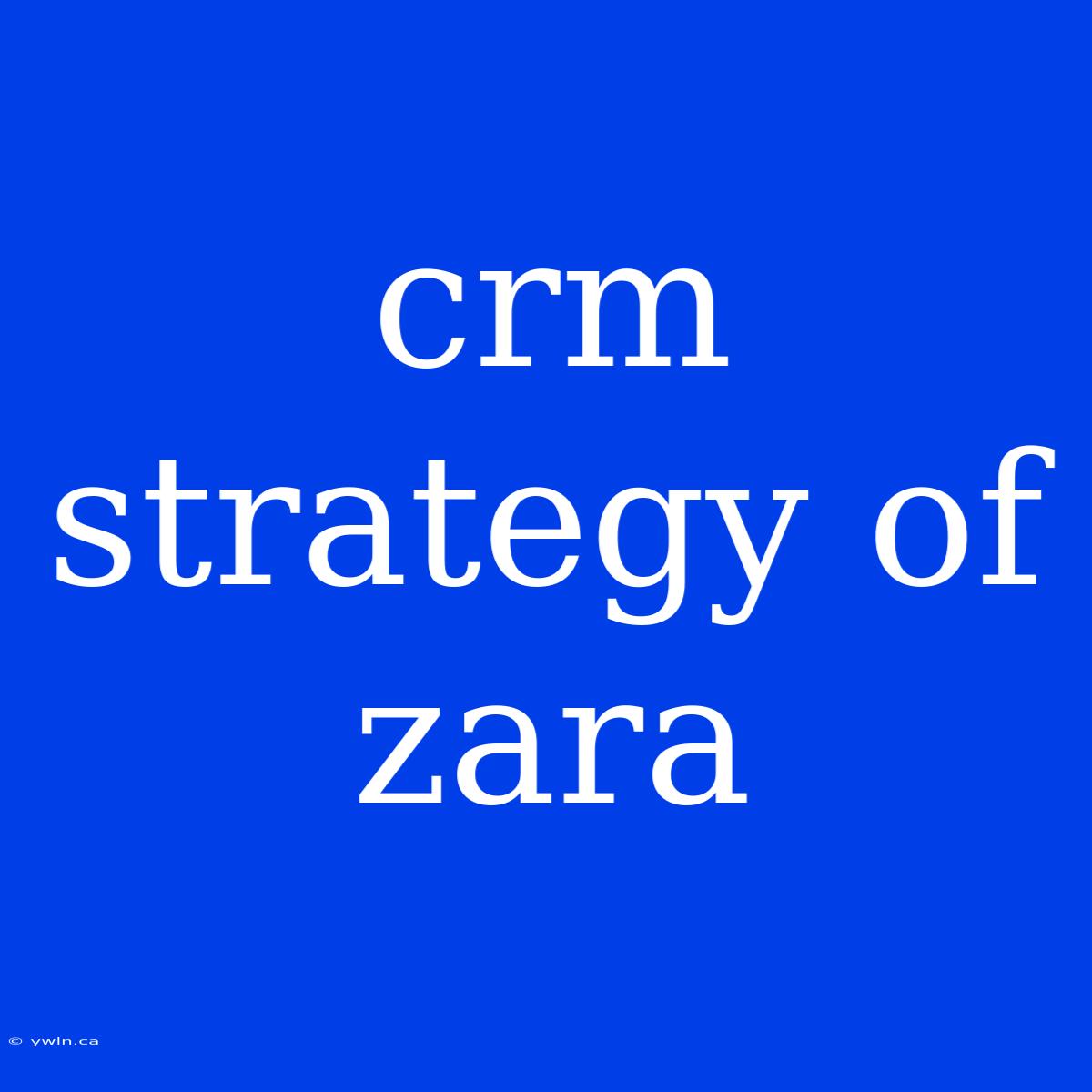 Crm Strategy Of Zara