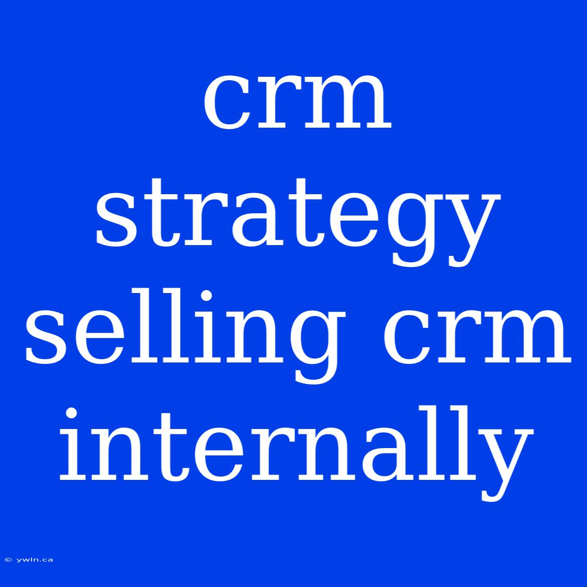 Crm Strategy Selling Crm Internally