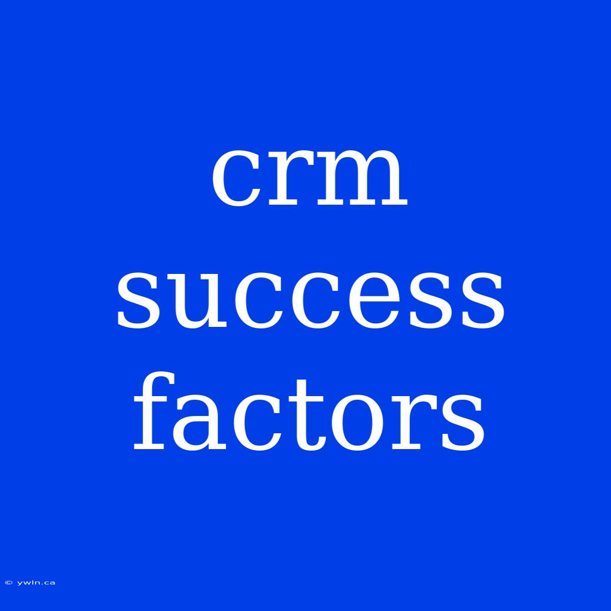 Crm Success Factors