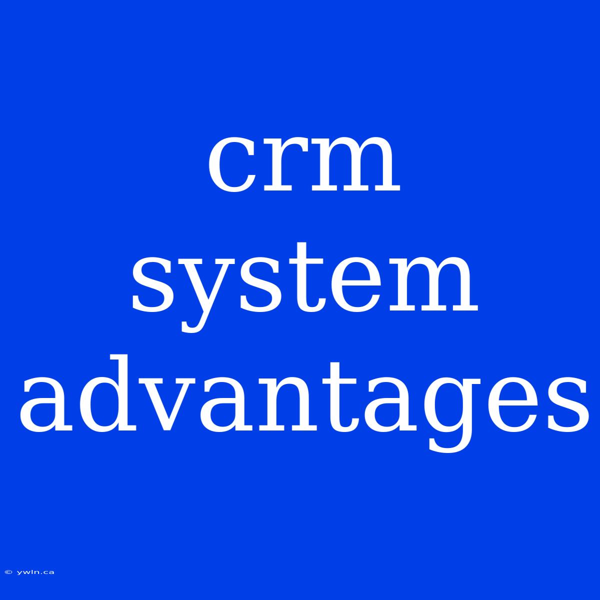 Crm System Advantages