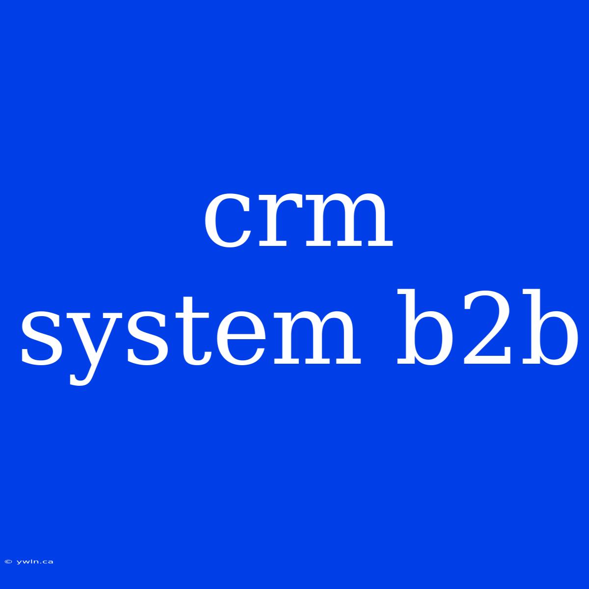 Crm System B2b