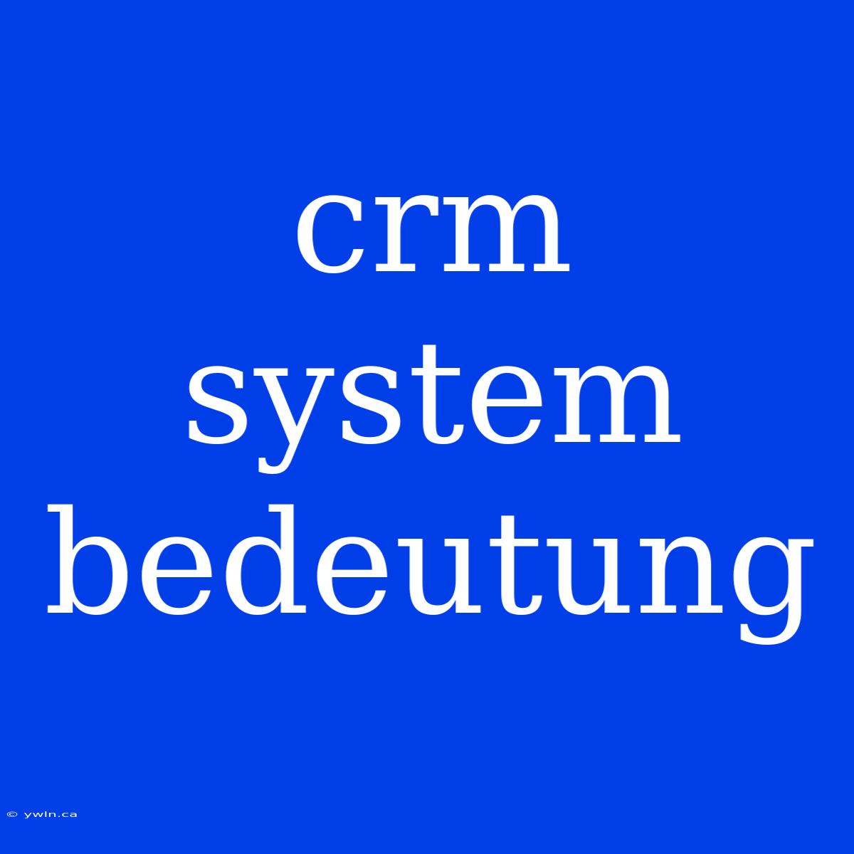 Crm System Bedeutung