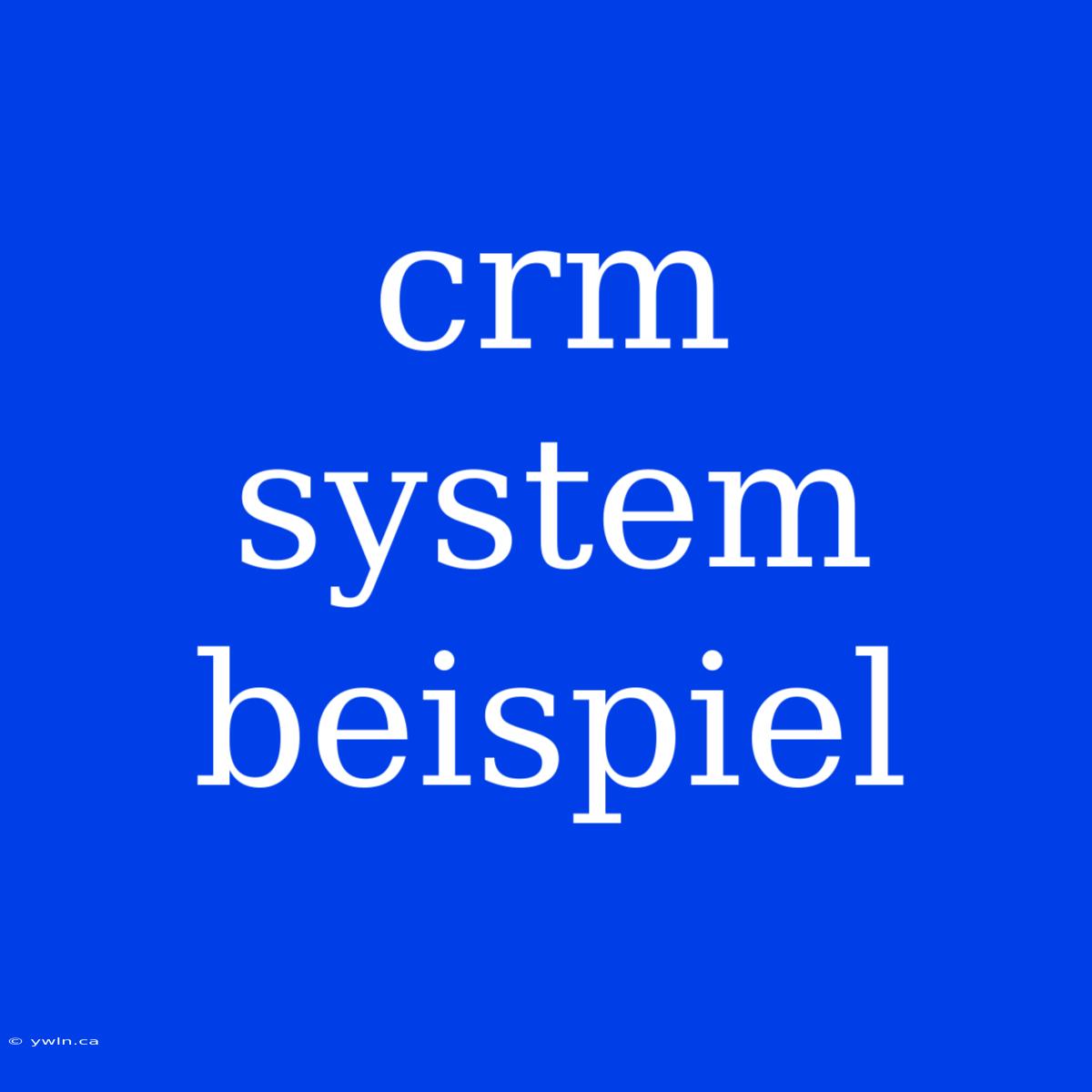 Crm System Beispiel