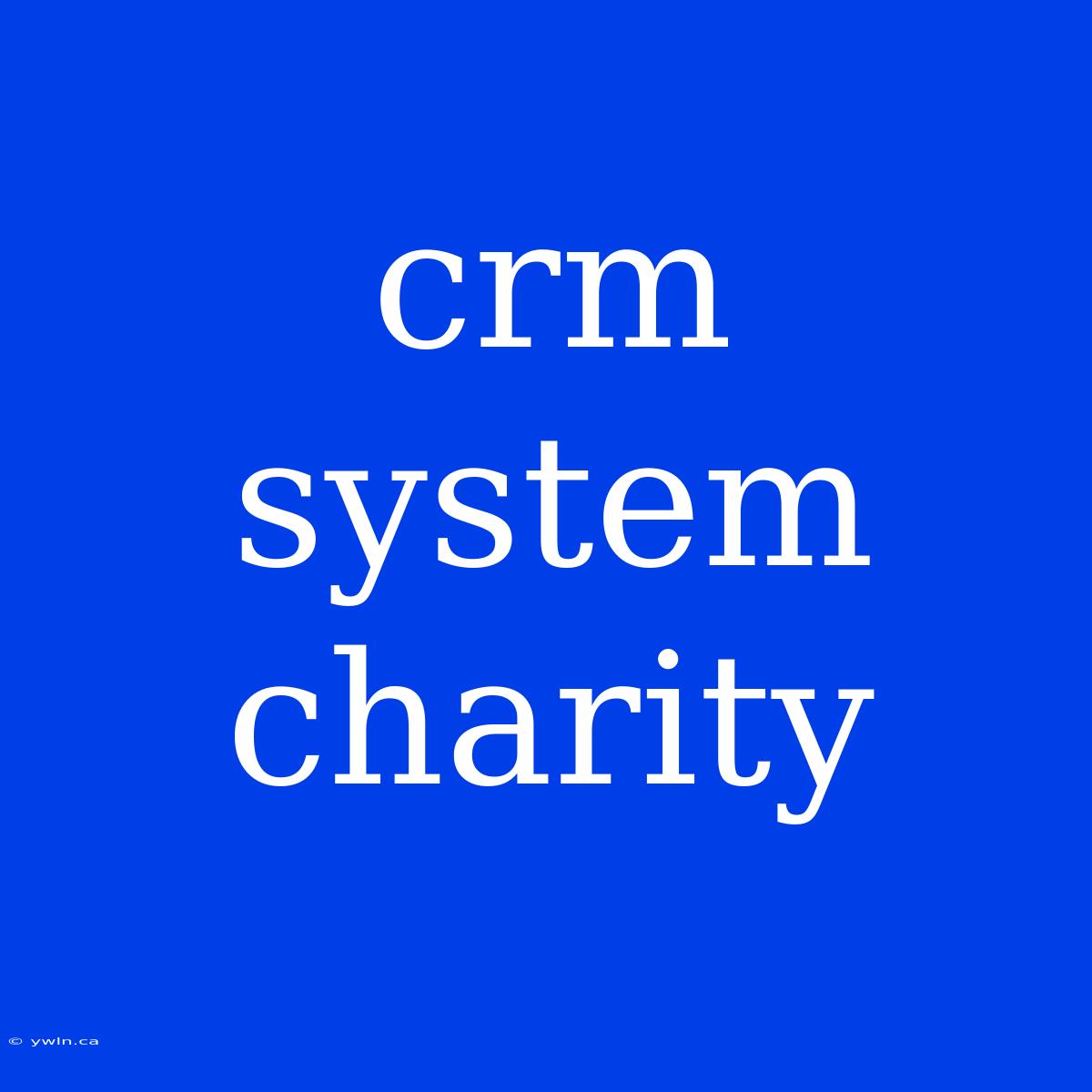 Crm System Charity