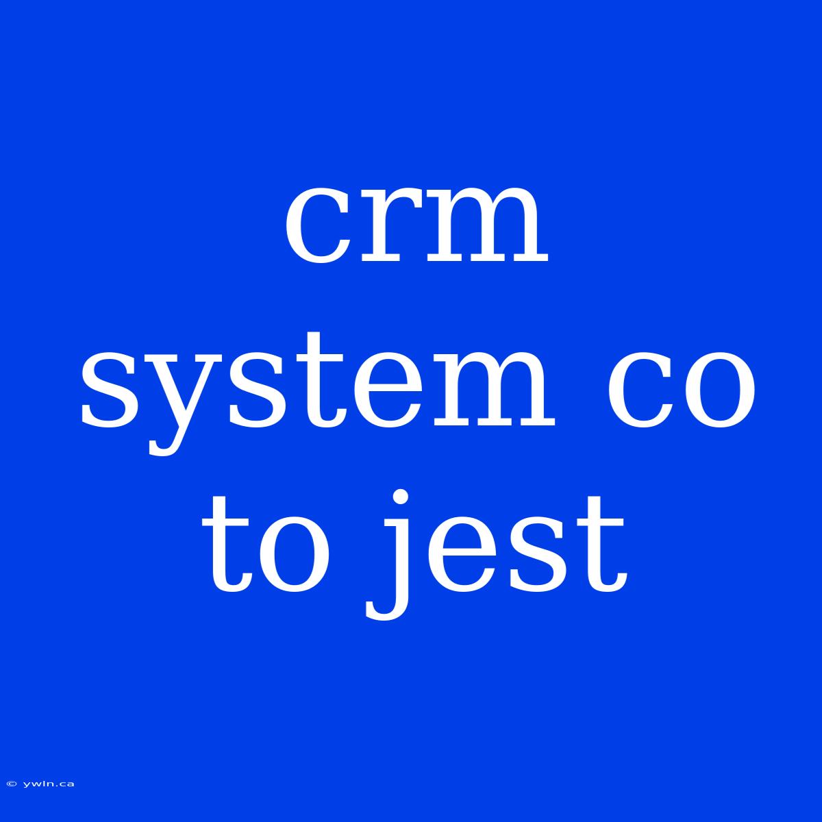 Crm System Co To Jest